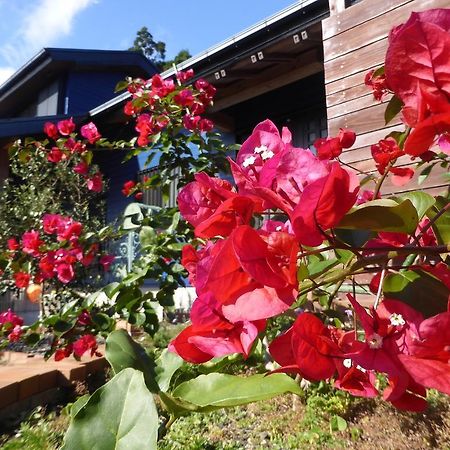 Pension Blue Drop Yakushima  Exterior photo