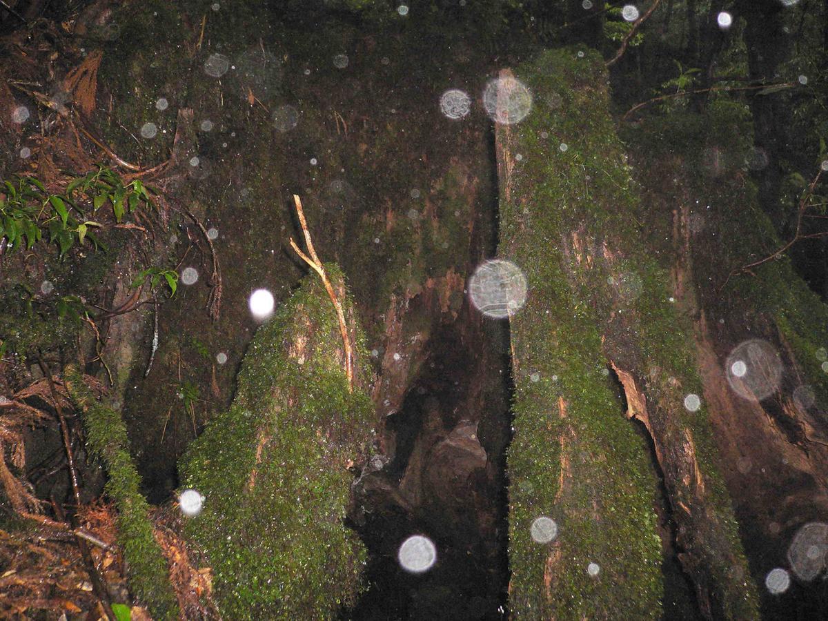 Pension Blue Drop Yakushima  Exterior photo