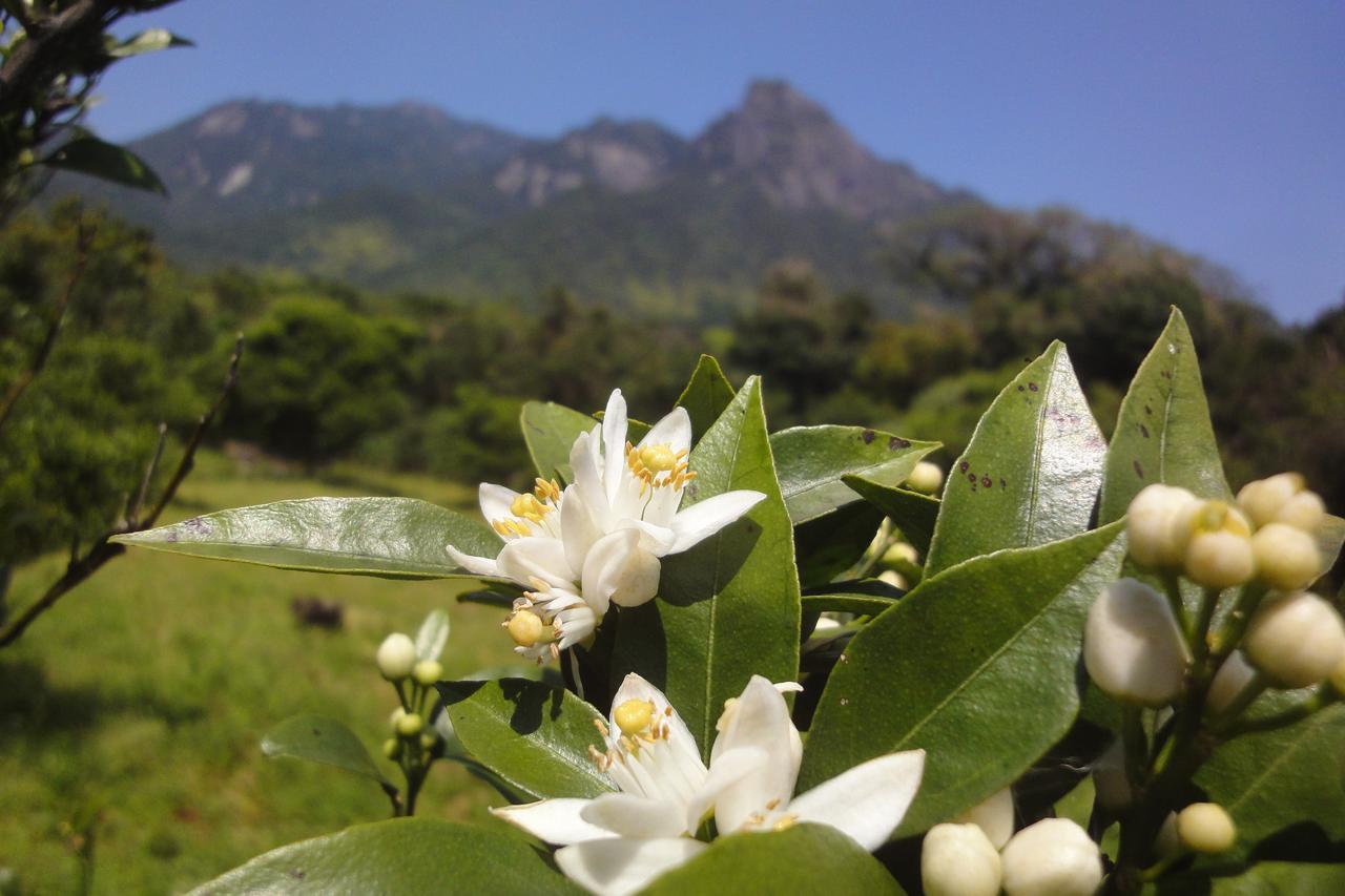 Pension Blue Drop Yakushima  Exterior photo